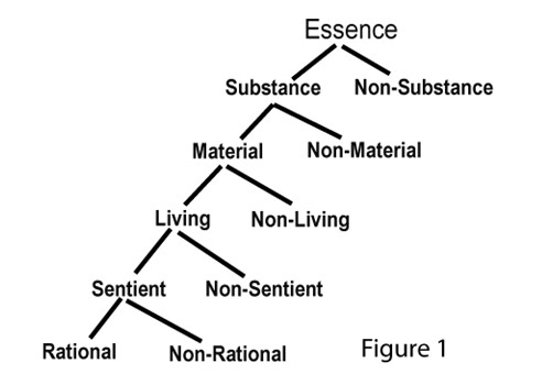 figure11.jpg