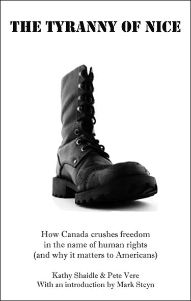 tyranny-of-nice-book-cover.jpg