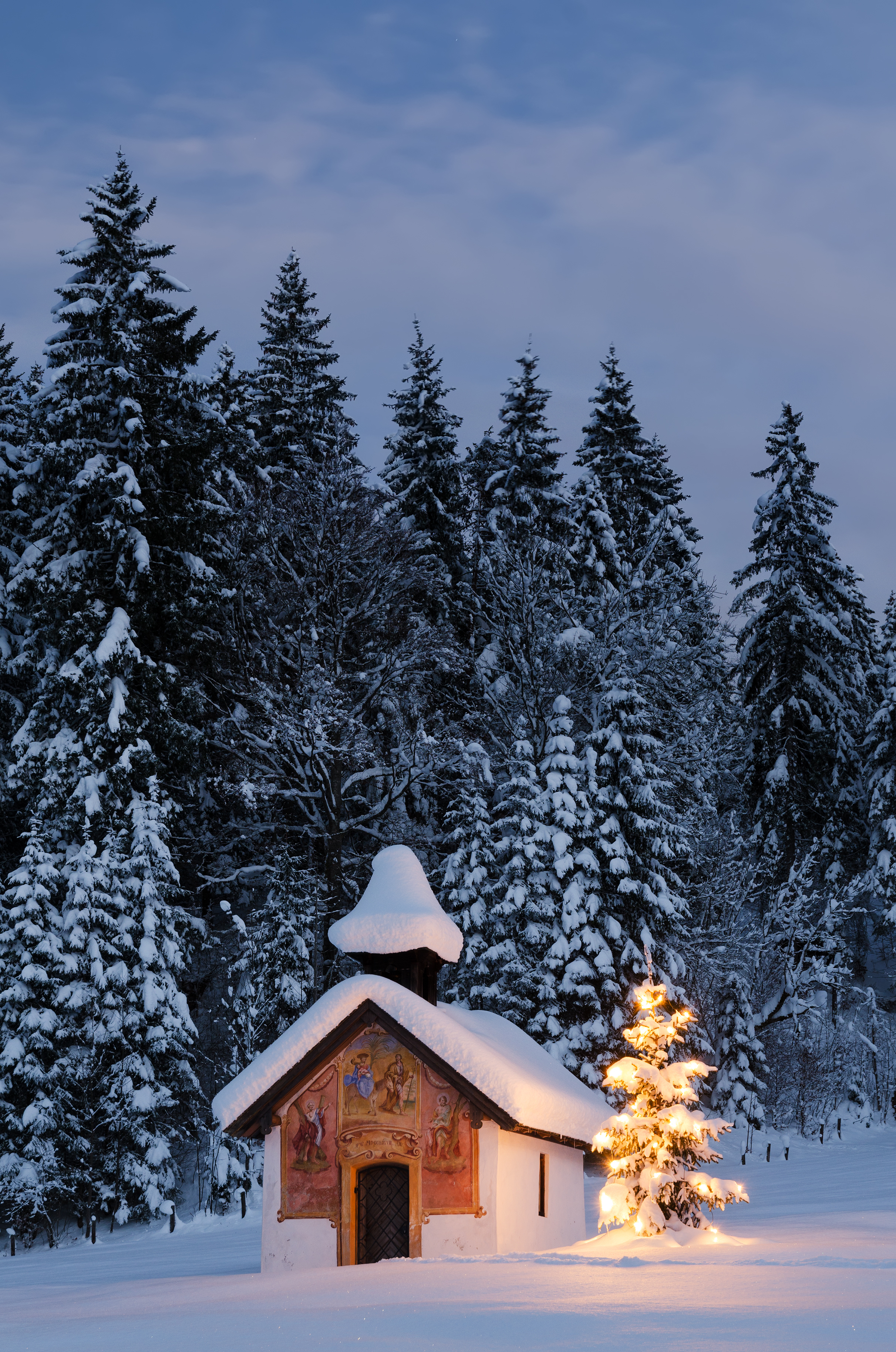 Keeping Christmas with God's Creation