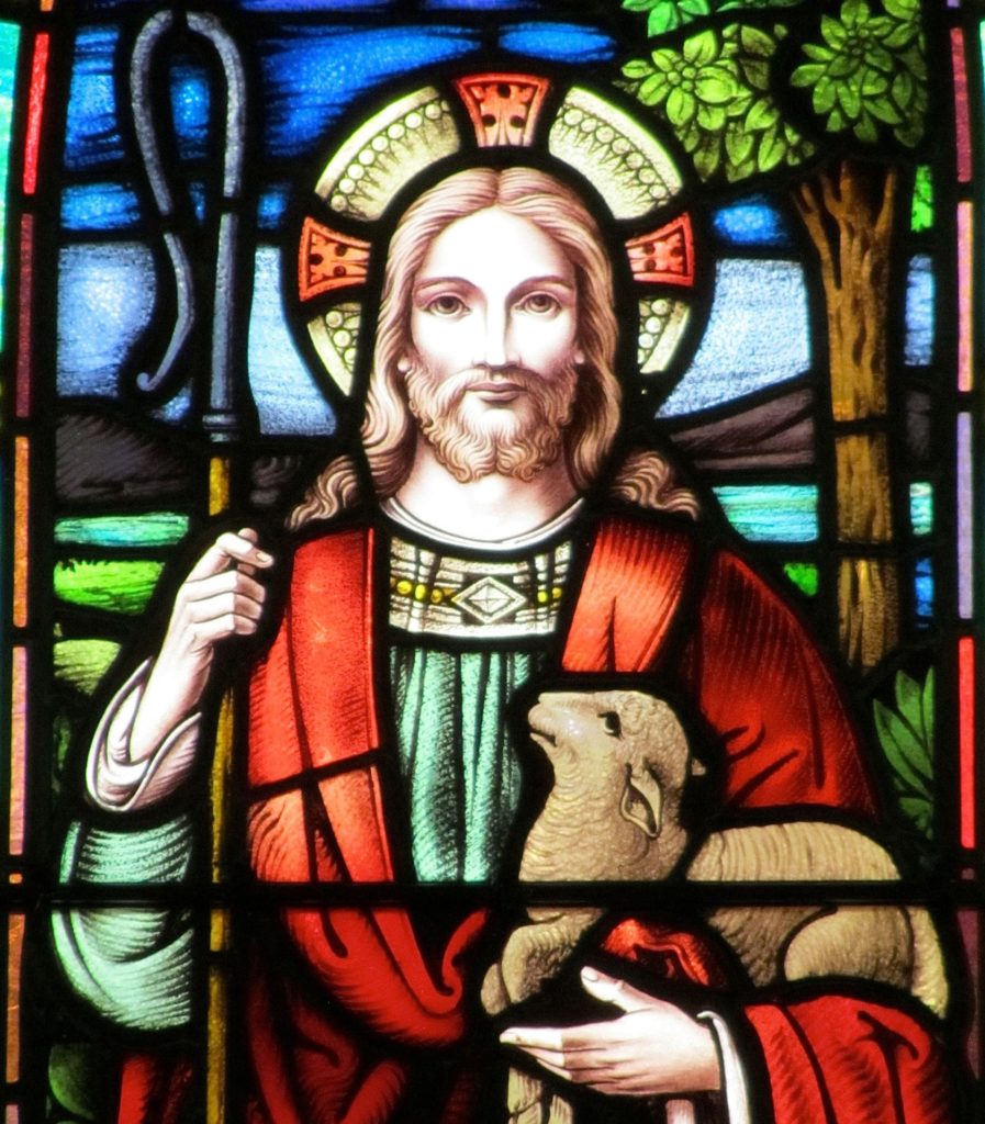 Even in Our Present Distress, the Good Shepherd Seeks Us Out