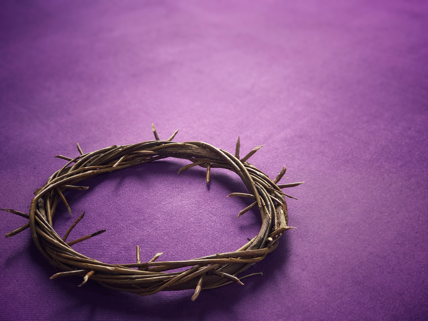 The Passion of Our Lord is the Way to Holiness
