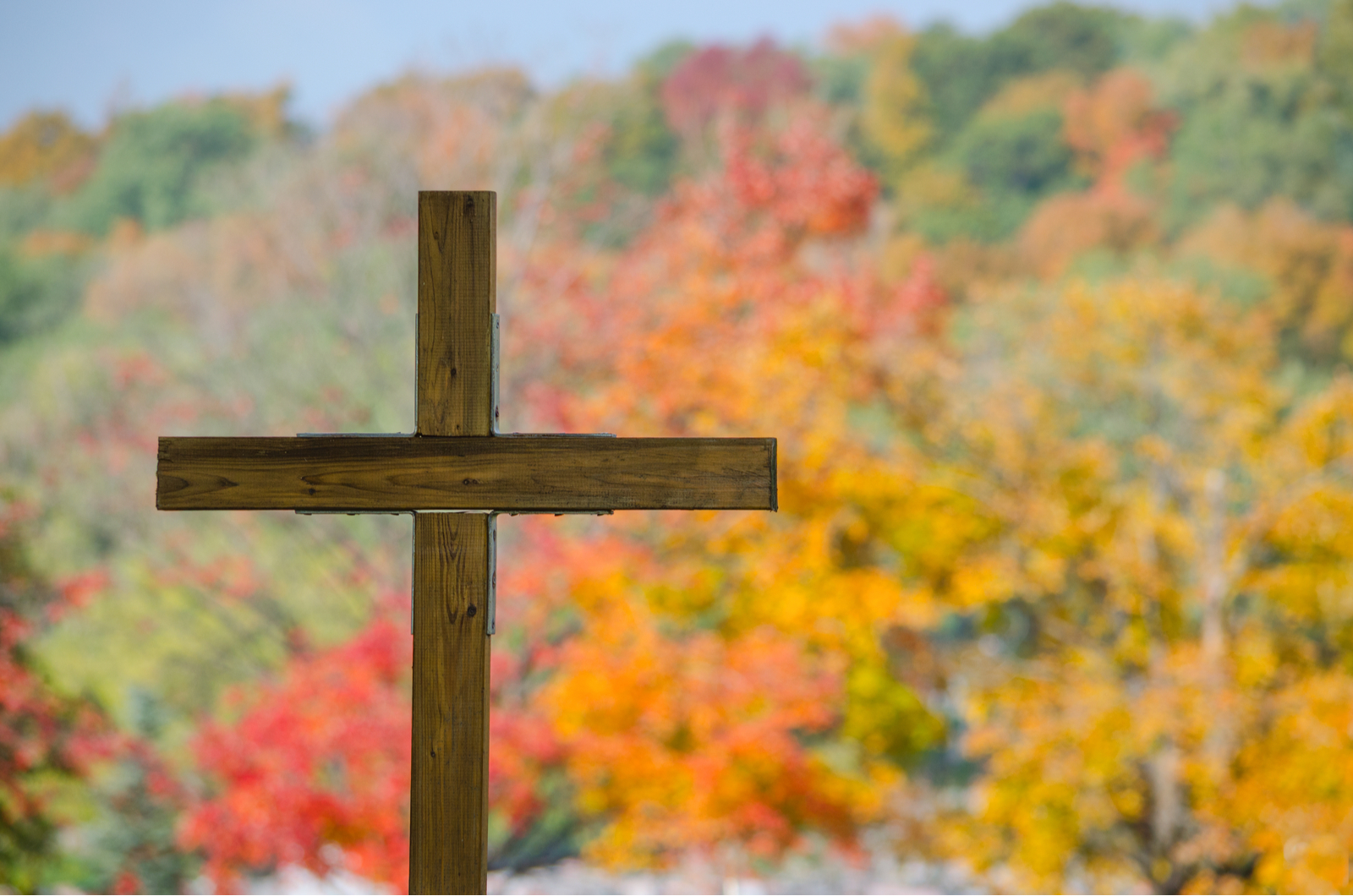 Holiness Is To Struggle Day After Day